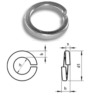 Spring Lock Washers