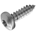 Torx panhead cone point security screw  Sim. DIN7981 