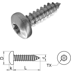 Torx panhead cone point security screw  Sim. DIN7981 