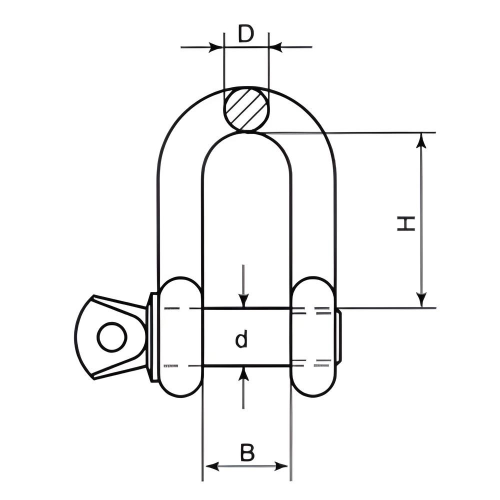 Dee Shackle - Forged - 316 Stainless steel